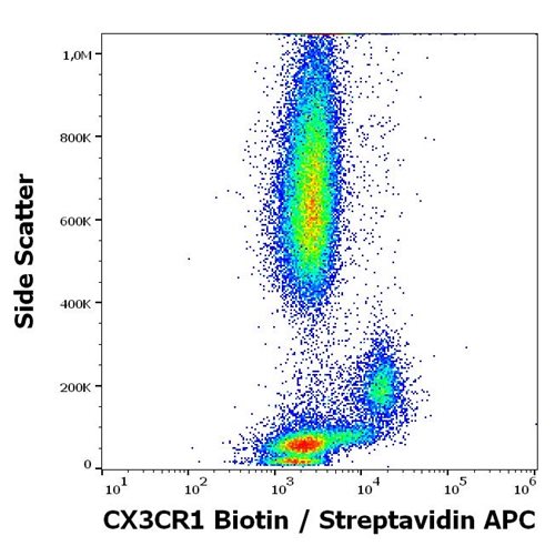 Anti-Human CX3CR1 Monoclonal Antibody (Clone:2A9-1) Biotin Conjugated